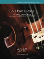 Lo, How a Rose Standard