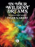 In Your Wildest Dreams 
