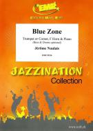 Blue Zone Standard