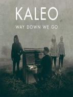 Way Down We Go 