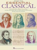 Symphony No. 40 in G Minor, First Movement Excerpt 