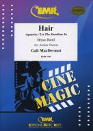 Hair Standard