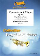 Concerto in A Minor Standard