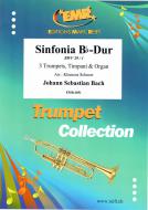Sinfonia in D-Dur BWV 29/1 Standard