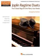 Magnetic Rag 