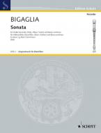 Sonata in G Minor Standard