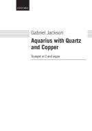 Aquarius with Quartz and Copper 