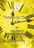 12 By 3 Download