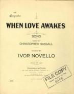 When Love Awakes 