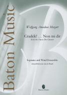 Crudele! ... Non mi dir from The Opera Don Giovanni Download