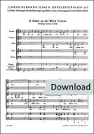 Siehe an die Werke Gottes Nr. 13 