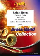 Brian Boru Standard
