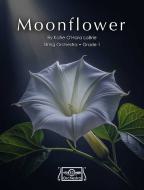 Moonflower 