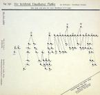 Haushamer Plattler 
