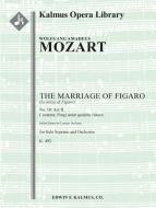 Marriage of Figaro, The, K. 492 (Le Nozze di Figaro): No. 10: Act II, Cavatina: Porgi amor qualche ristoro (soprano) 