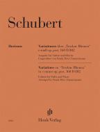 Variations on "Trockne Blumen" e minor op. post. 160 D 802 