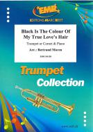 Black Is The Colour Of My True Love's Hair 