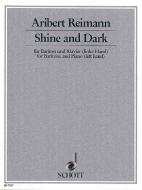 Shine and Dark 