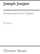 Crepuscule Au Lac Ogwen: Impression 