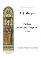 Fantasia on 'Twrgwyn' 