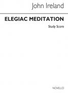 Elegaic Meditation 