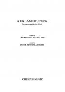 A Dream Of Snow 
