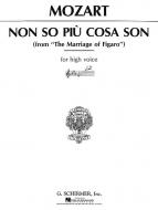 Non So Piu Cosa Son 