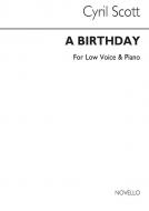 A Birthday 