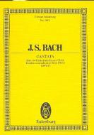 Cantata No. 67 (Dominica Quasimodogeniti) BWV 67 