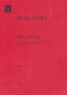 Der Zwerg 