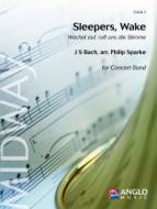 Sleepers Wake 