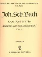 Wahrlich, wahrlich, ich sage euch 