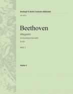Allegretto E flat Major WoO 3 