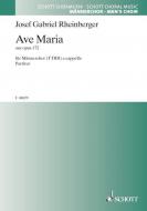 Ave Maria B-Dur op. 172 Standard