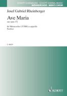 Ave Maria B-Dur op. 172 Standard