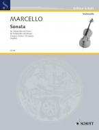 Sonata D Major Standard