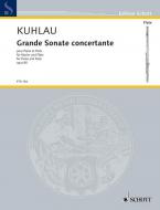 Grande Sonate concertante op. 85 Standard