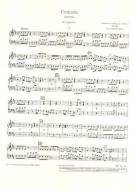 Concerto D Major Op. 10/3 RV 428/PV 155 Standard