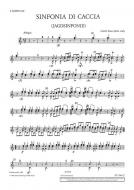 Sinfonia di Caccia G Major 