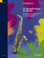 The Budding Saxophonist Standard