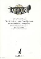 The Adventures of Don Quixote 