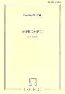 Pujol Impromptu Pujol 1206 Guitare 