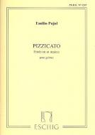 Pujol Pizzicato Pujol 1247 Guitare 