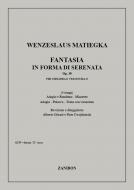 Fantasia In Forma Di Serenata Op. 30 Chit 