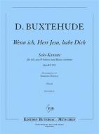 Wenn ich Herr Jesu habe Dich 