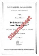 Die kleinen Musikanten 