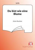 Du bist wie eine Blume 