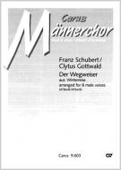 Der Wegweiser D911 Standard