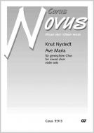 Ave Maria op. 110 