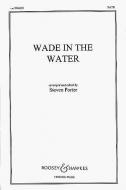 Wade in The water 